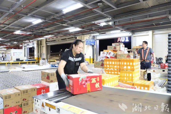 鸿运配资 鄂州观察│每天约50吨荔枝从花湖国际机场运往全国