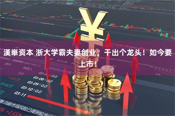 漢崋资本 浙大学霸夫妻创业，干出个龙头！如今要上市！