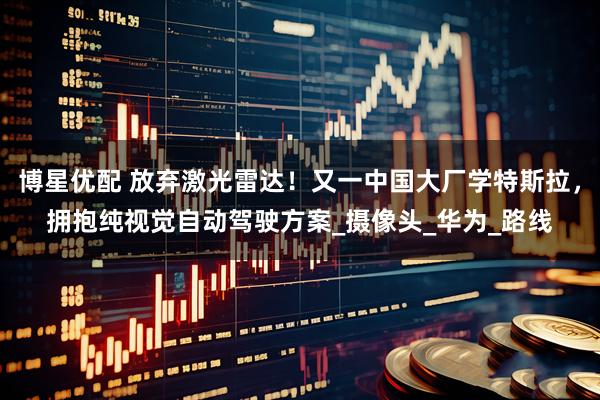 博星优配 放弃激光雷达！又一中国大厂学特斯拉，拥抱纯视觉自动驾驶方案_摄像头_华为_路线