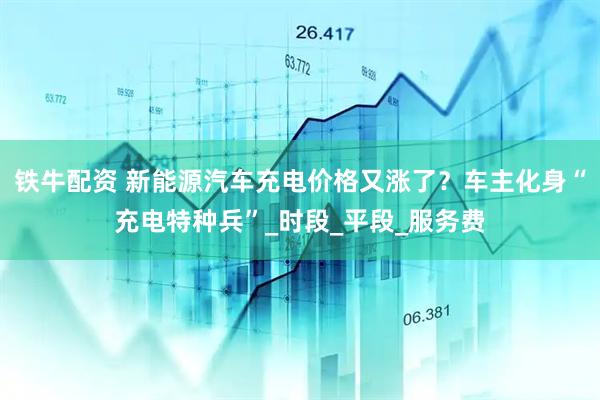铁牛配资 新能源汽车充电价格又涨了？车主化身“充电特种兵”_时段_平段_服务费