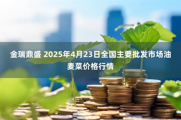 金瑞鼎盛 2025年4月23日全国主要批发市场油麦菜价格行情