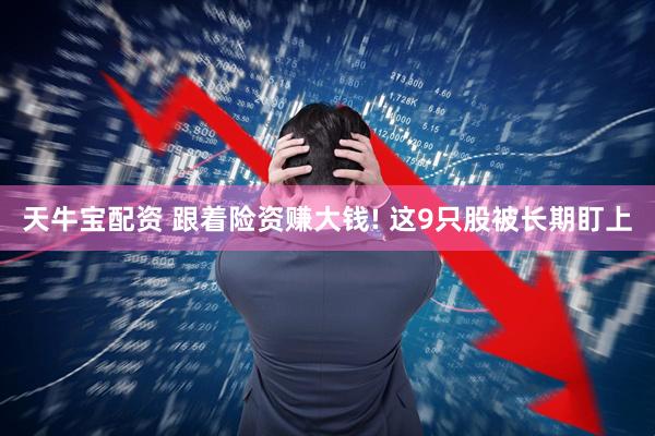 天牛宝配资 跟着险资赚大钱! 这9只股被长期盯上